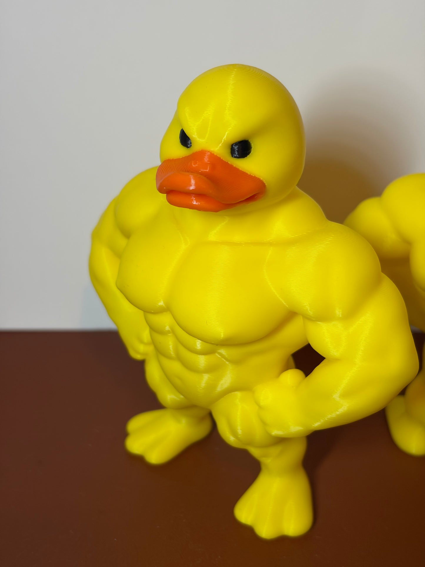 Buff Ducks